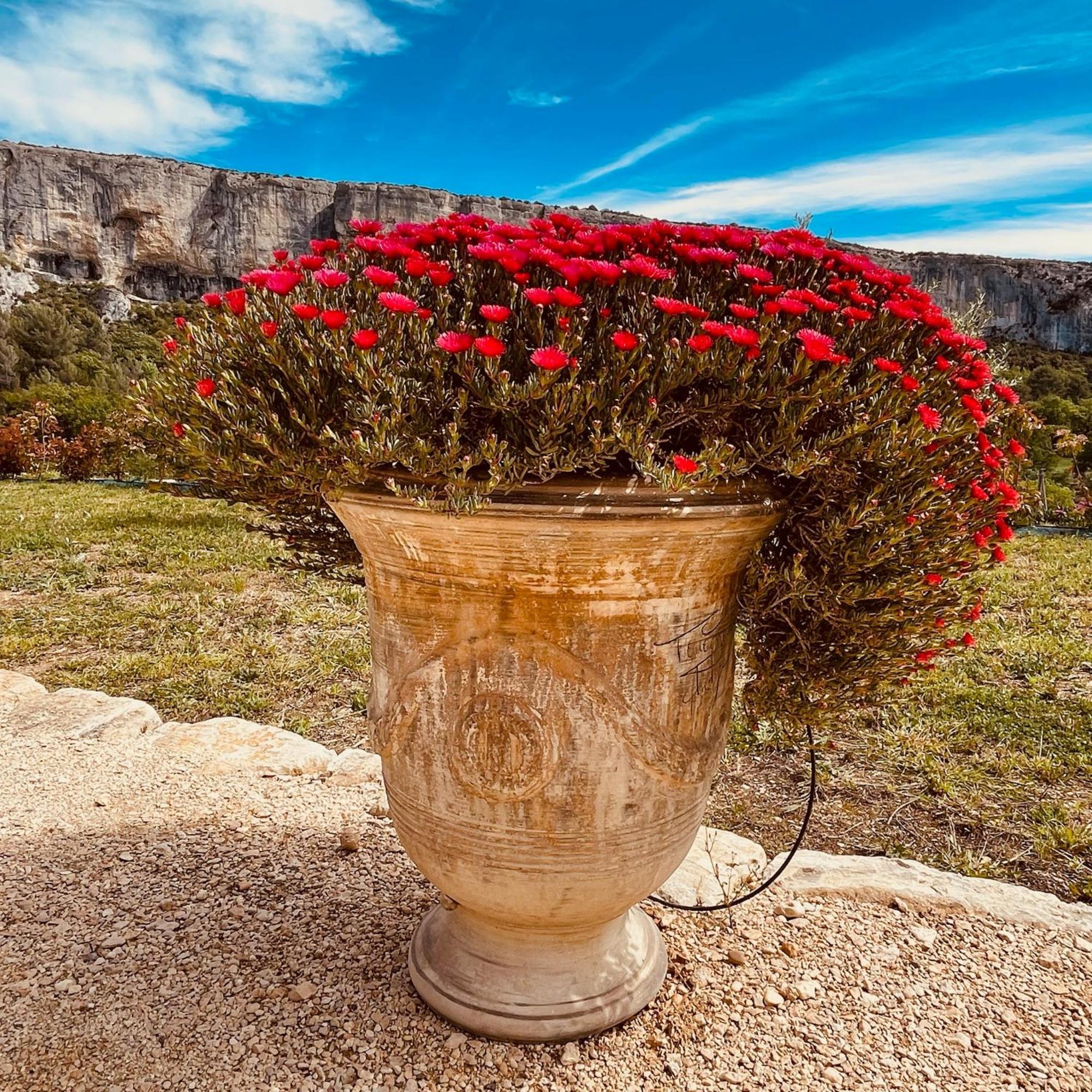 Gite La Madeleine Du Luberon. Lioux Exterior foto